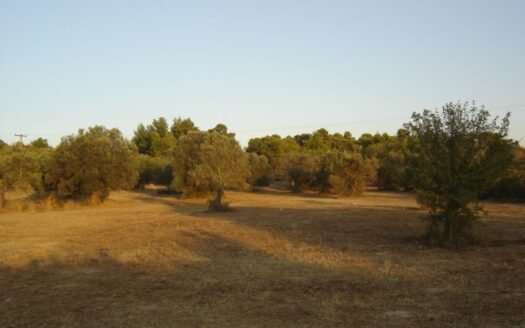 Градежна парцела на продажба – Вурвуру, Ситонија, Халкидики, Грција